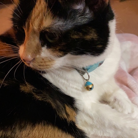 Meet your Posher, Bethany - Picture 5 of 9